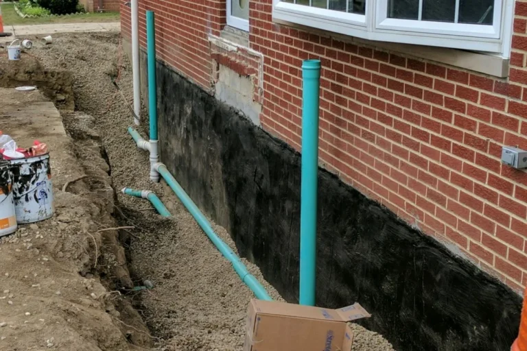 Subterranean Resilience: A Definitive Guide to Advanced Foundation Protection