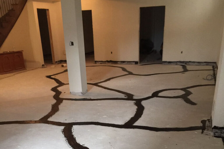 The Economics of Subterranean Moisture Management: A Strategic Deep Dive